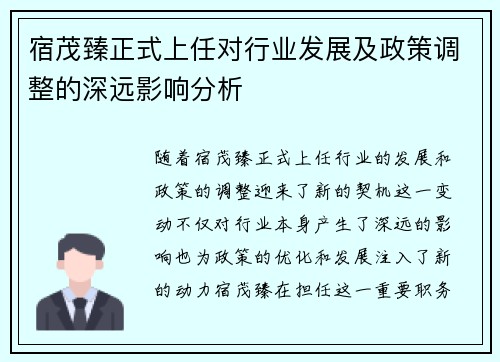 宿茂臻正式上任对行业发展及政策调整的深远影响分析