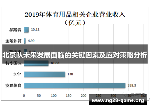 北京队未来发展面临的关键因素及应对策略分析