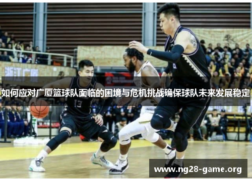 如何应对广厦篮球队面临的困境与危机挑战确保球队未来发展稳定