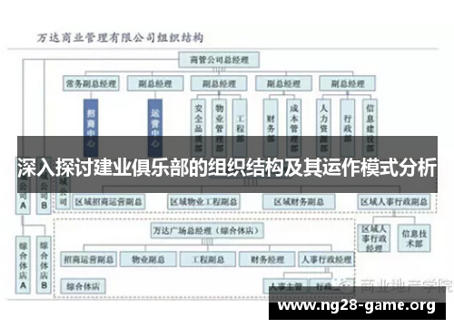 深入探讨建业俱乐部的组织结构及其运作模式分析 深入探讨建业俱乐部的组织结构及其运作模式分析