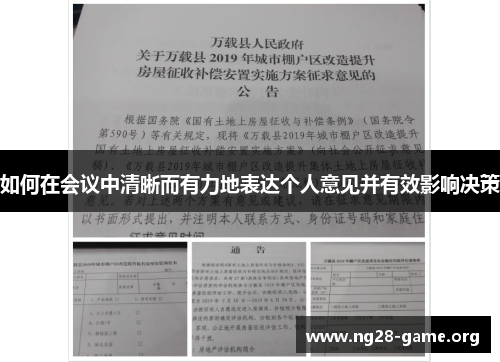 如何在会议中清晰而有力地表达个人意见并有效影响决策